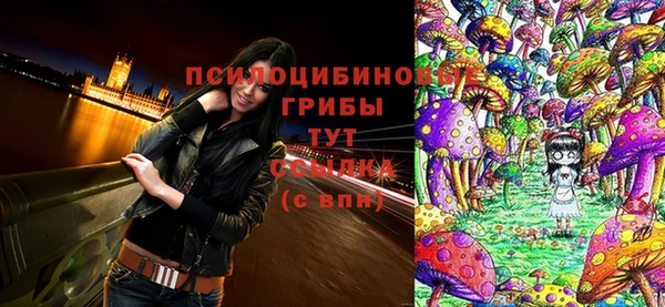 круглые Армянск